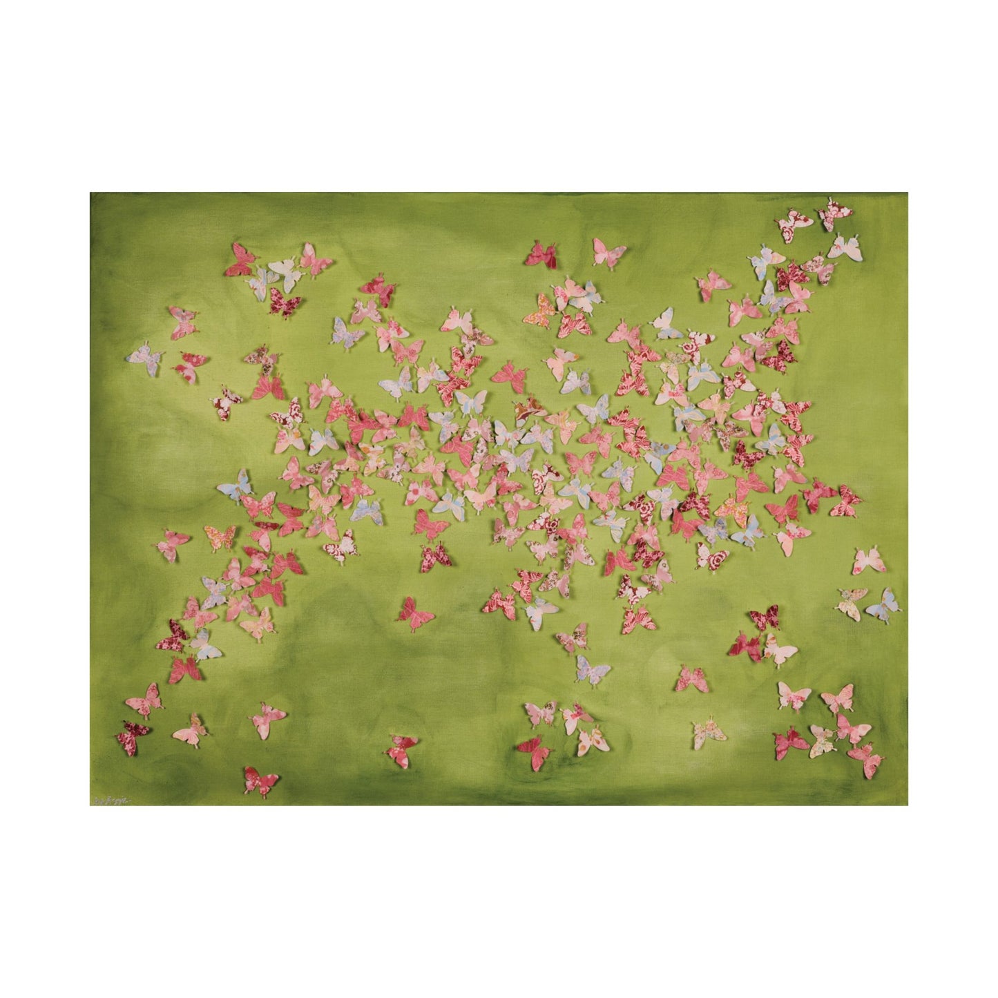 Lily Pad