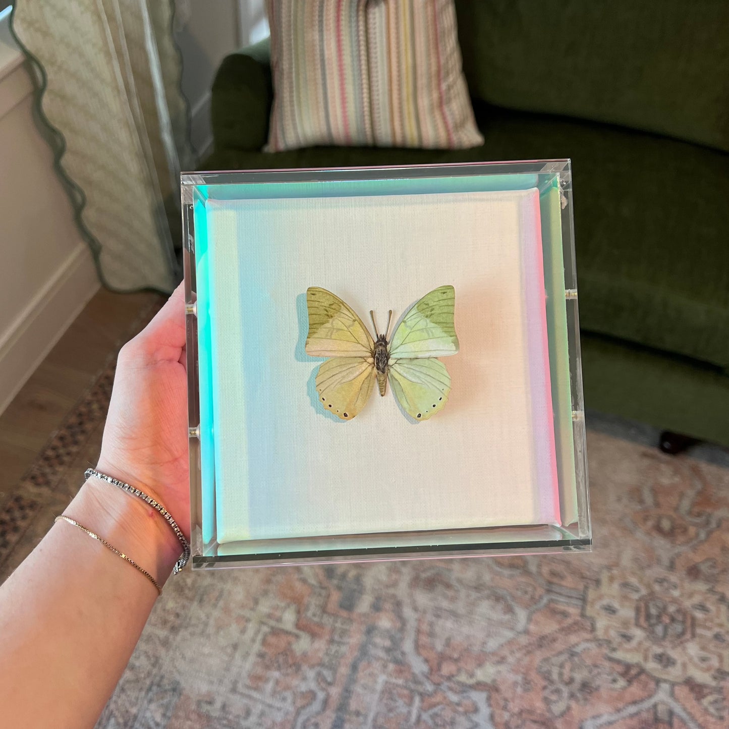 Verte Wings Irredescent Edges