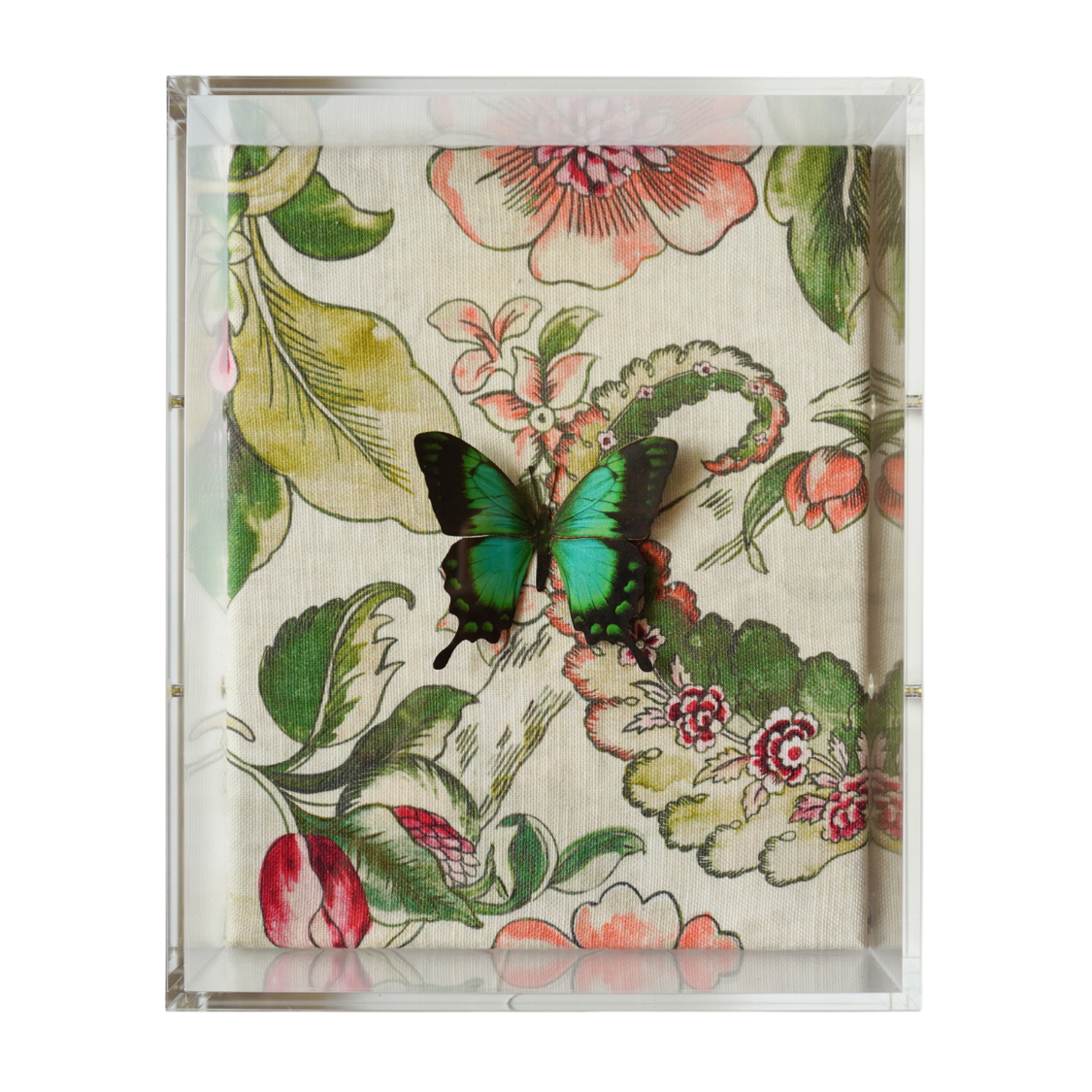 Pink and Green Tolie Wings No.3