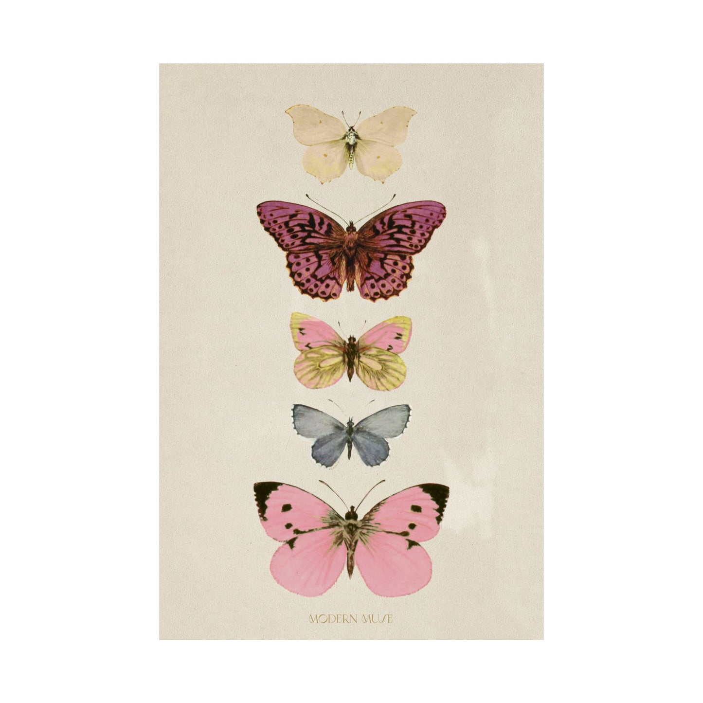 8x12 Postcard Poster
