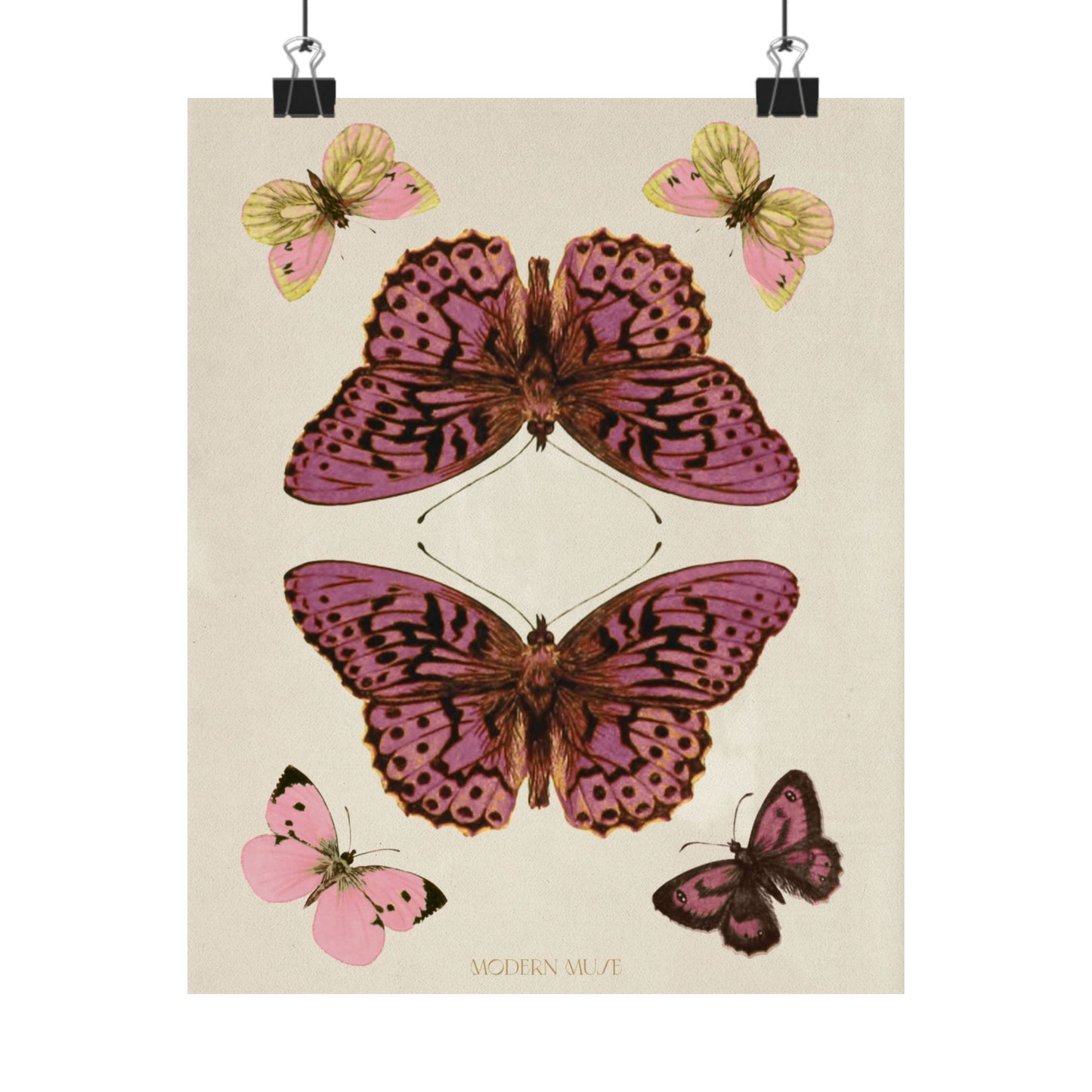 8x10 Postcard Poster