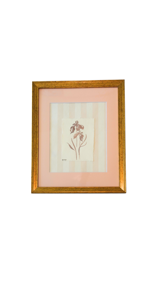 Pink Iris on Stripes