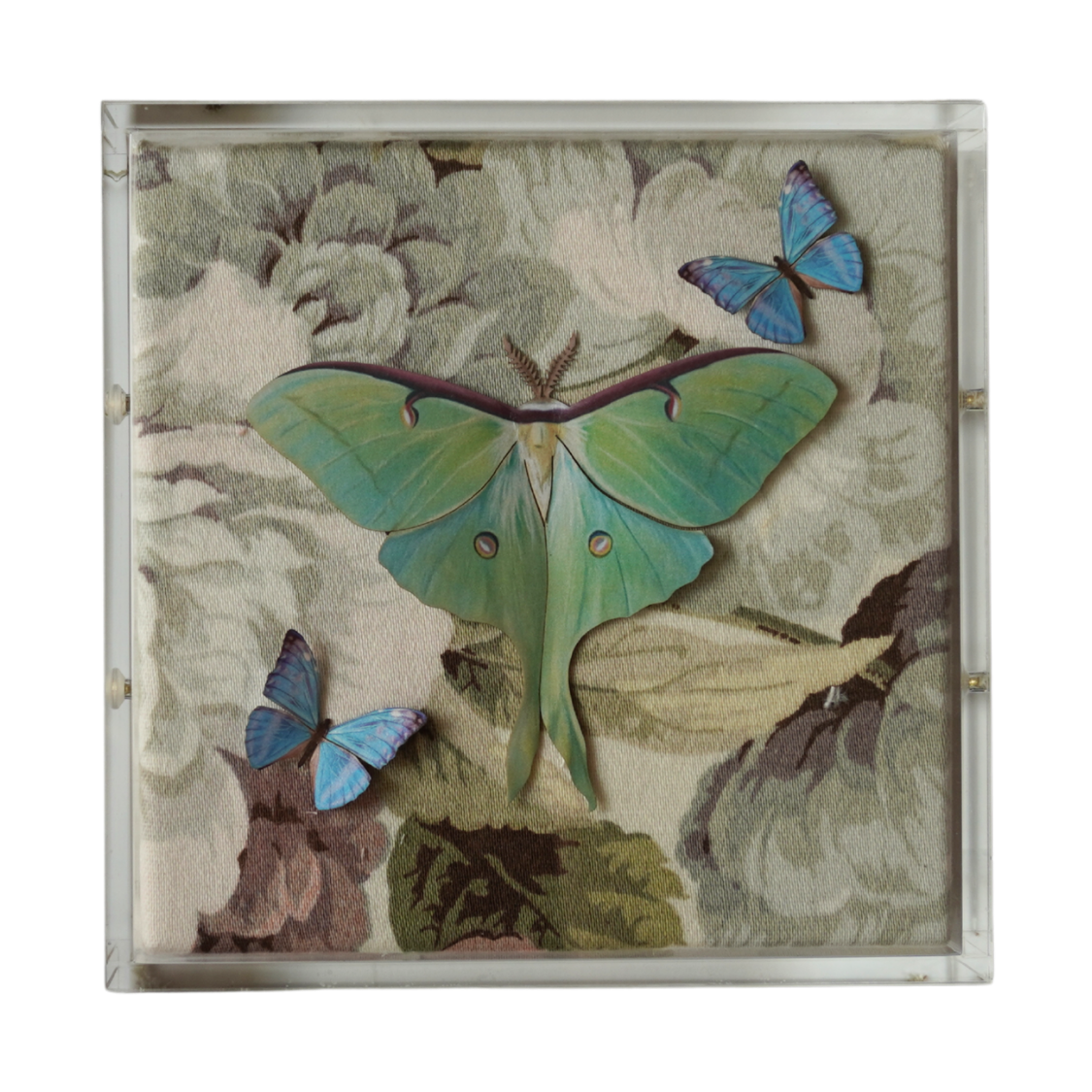 Garden Party Wings