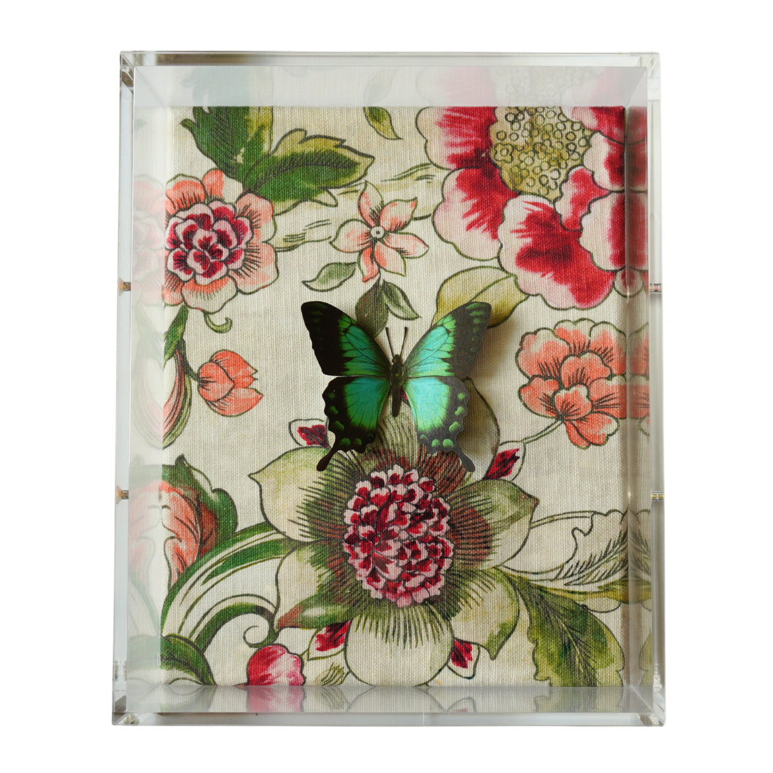 Pink and Green Tolie Wings No.2