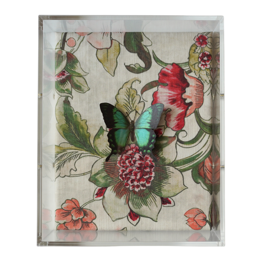 Pink and Green Tolie Wings No.4