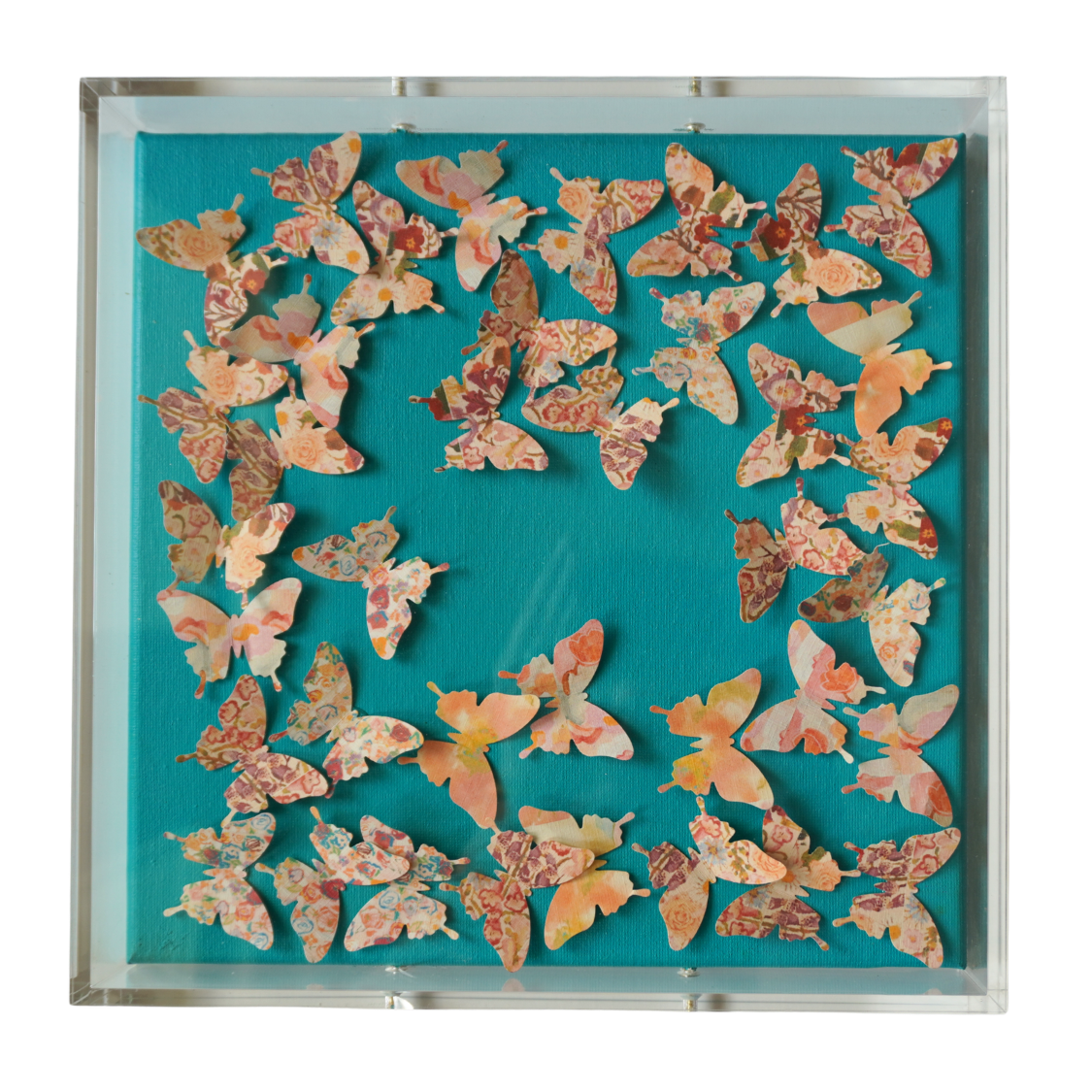 Squash Blossom Butterflies